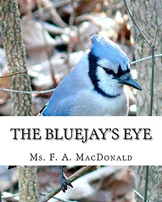 The Bluejay's Eye-..