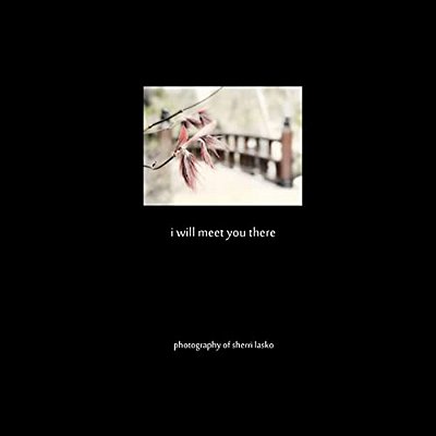 I Will Meet You There: Photography Of Sherri Lasko-..