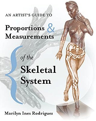 An Artist's Guide To Proportions & Measurements Of The Skeletal System-..