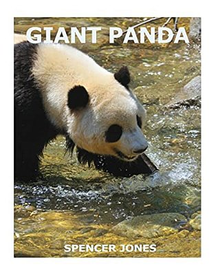 Giant Panda-..