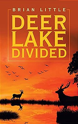 Deer Lake Divided-..