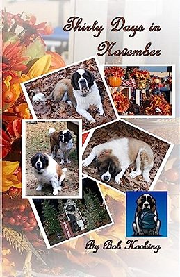 Thirty Days In November-..