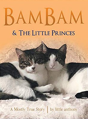 Bambam & The Little Princes: A Mostly True Story-..