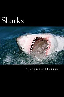 Sharks: A Fascinating Book Containing Shark Facts, Trivia, Images & Memory Recall Quiz: Suitable For Adults & Children-..