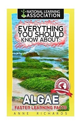 Everything You Should Know About Algae-..