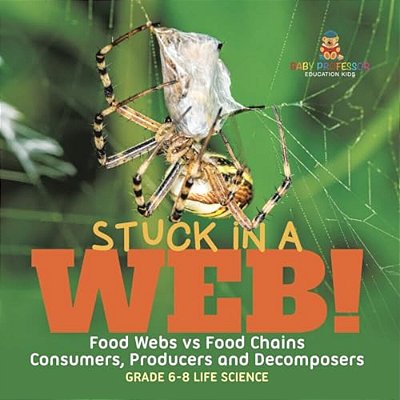 Stuck In A Web! Food Webs Vs Food Chains Consumers, Producers And Decomposers Grade 6-8 Life Science-..