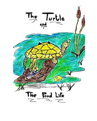 The Turtle And The Pond Life-..