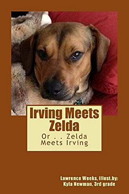Irving Meets Zelda: Or... Zelda Meets Irving-..