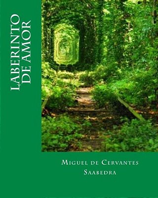 Laberinto De Amor (Spanish Edition)-..