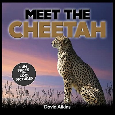 Meet The Cheetah: Fun Facts & Cool Pictures-..