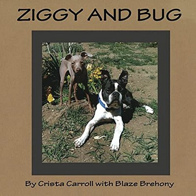 Ziggy And Bug-..
