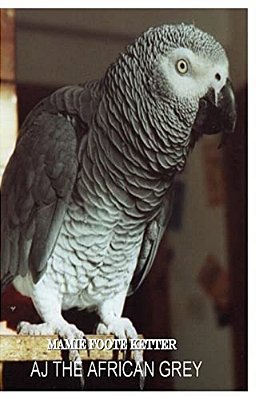 Aj The African Grey-..