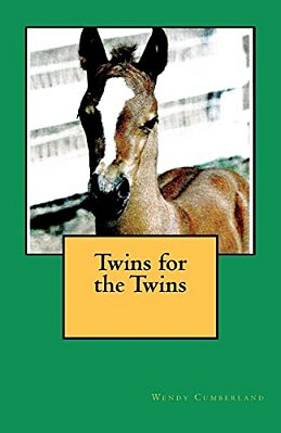 Twins For The Twins-..