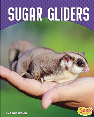Sugar Gliders-..