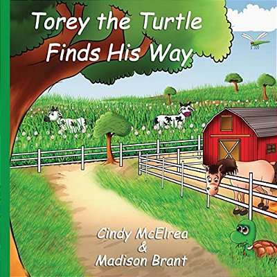 Torey The Turtle Finds His Way-..
