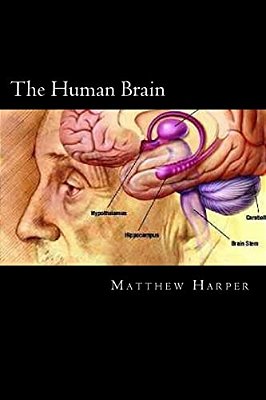 The Human Brain: A Fascinating Book Containing Human Brain Facts, Trivia, Images & Memory Recall Quiz: Suitable For Adults & Children-..