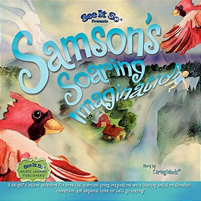 Samson's Soaring Imagination: A Weightless Journey Of Imagination, Gratitude, And Spatial Perspective Through Rhyme. Come On! Let's Soar!-..