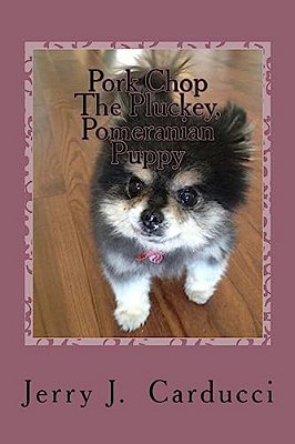 Pork Chop The Pluckey, Pomeranian Puppy-..