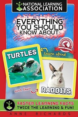 Everything You Should Know About: Turtles And Rabbits-..