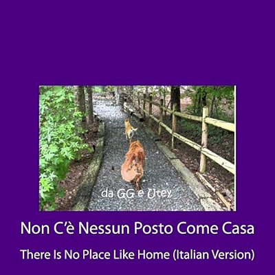 Non C'è Nessun Posto Come Casa: There Is No Place Like Home (Italian Version)-..