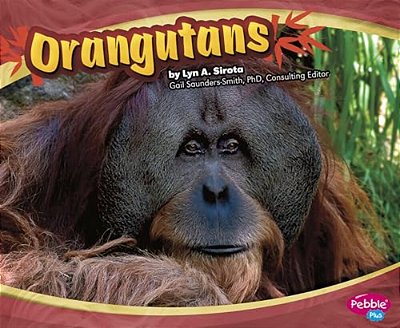 Orangutans-..