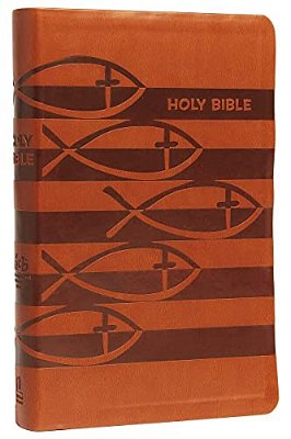 Icb, Holy Bible, Leathersoft, Brown: International Children's Bible-..