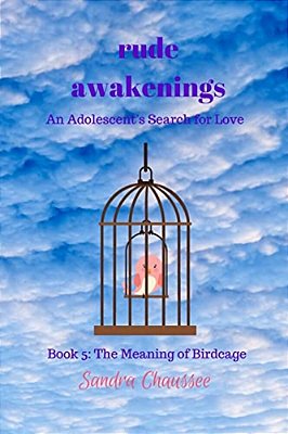 Rude Awakenings: An Adolescent's Search For Love-..