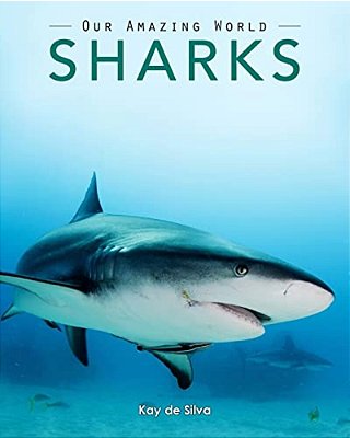 Sharks: Amazing Pictures & Fun Facts On Animals In Nature-..