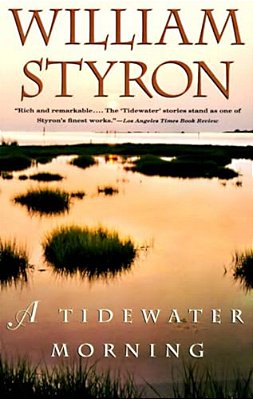 A Tidewater Morning-..