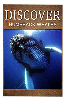 Humpback Whales - Discover: Early Reader's Wildlife Photography Book-..