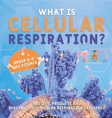 What Is Cellular Respiration? Process, Products And Reactants Of Cellular Respiration Explained Grade 6-8 Life Science-..