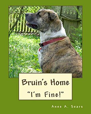 Bruin's Home (Book 3): Adjustments-..