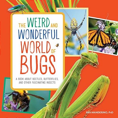 The Weird And Wonderful World Of Bugs: A Book About Beetles, Butterflies, And Other Fascinating Insects-..