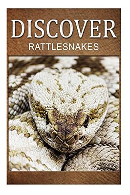 Rattle Snakes - Discover: Early Reader's Wildlife Photography Book-..