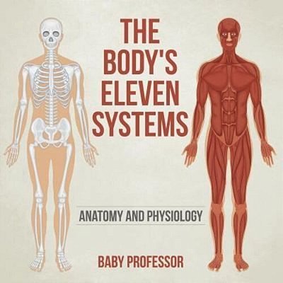 The Body's Eleven Systems Anatomy And Physiology-..