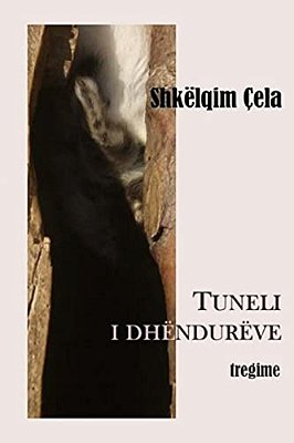 Tuneli I Dhendureve-..