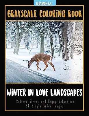 Winter In Love Landscapes: Grayscale Coloring Book Relieve Stress And Enjoy Relaxation 24 Single Sided Images-..