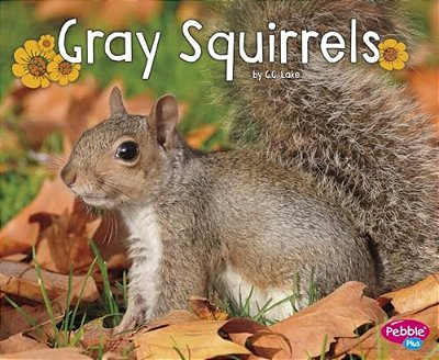Gray Squirrels-..