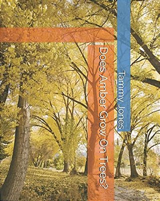 Does Amber Grow On Trees?-..