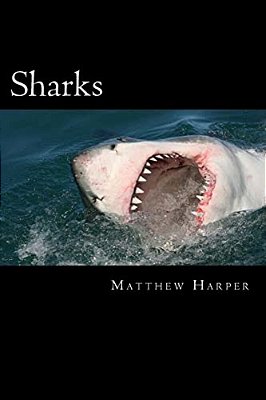 Sharks: A Fascinating Book Containing Shark Facts, Trivia, Images & Memory Recall Quiz: Suitable For Adults & Children-..