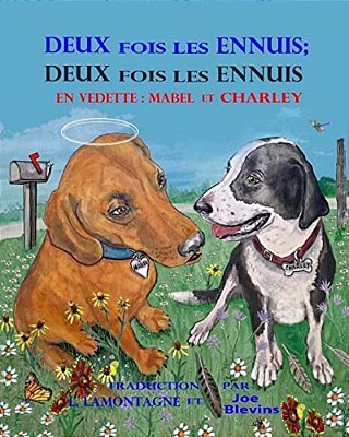 Deux Fois Les Ennuis; Deux Fois Les Ennuis: (French) Double Trouble, Double Trouble-..