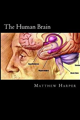 The Human Brain: A Fascinating Book Containing Human Brain Facts, Trivia, Images & Memory Recall Quiz: Suitable For Adults & Children-..