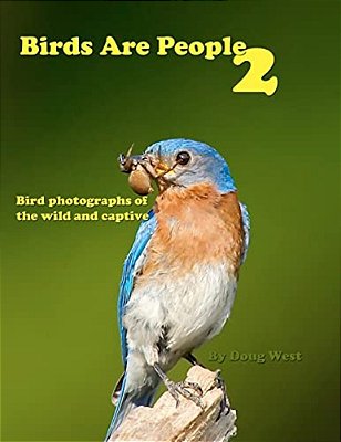 Birds Are People 2-..
