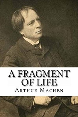 A Fragment Of Life-..