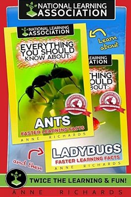 Everything You Should Know About: Ants And Ladybugs-..