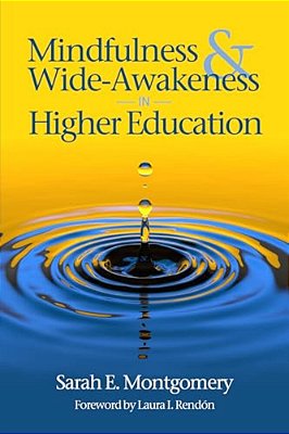 Mindfulness & Wide-Awakeness In Higher Education-..