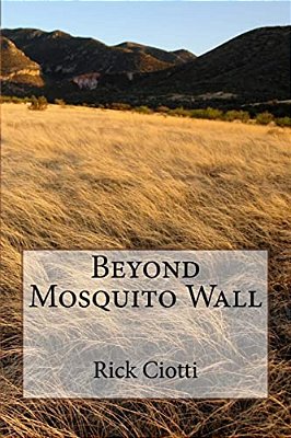 Beyond Mosquito Wall-..