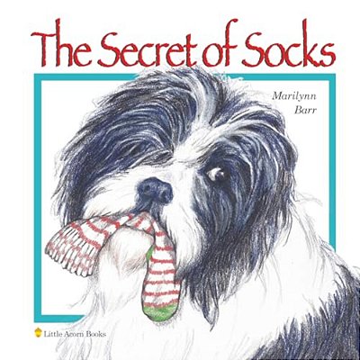 The Secret Of Socks-..