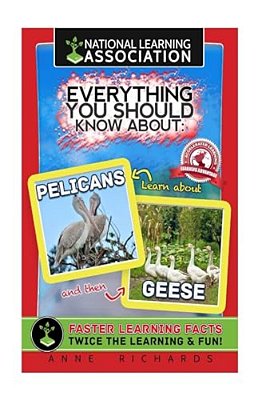 Everything You Should Know About: Pelicans And Geese-..