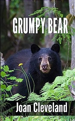 Grumpy Bear-..